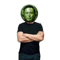 Melon Musk